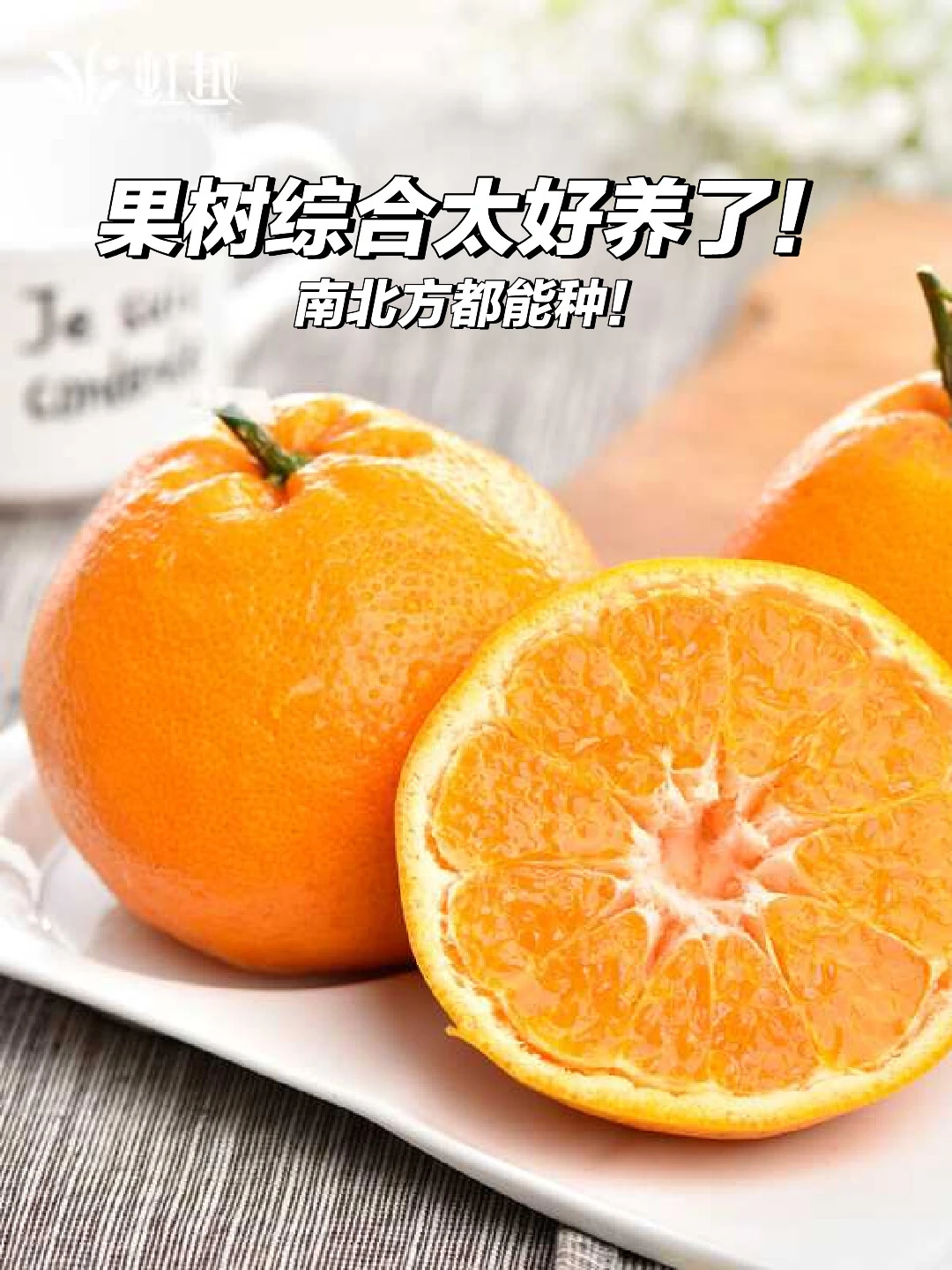 ?果树综合太好养！新手也能种！