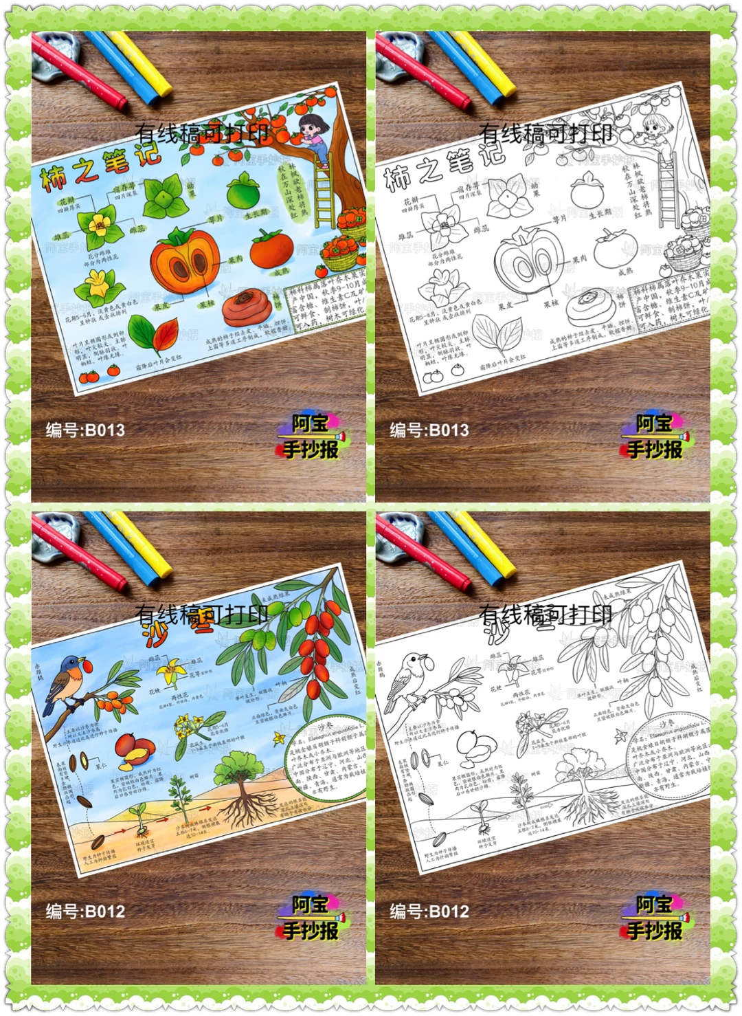 蔬菜水果类的自然笔记手抄报合集