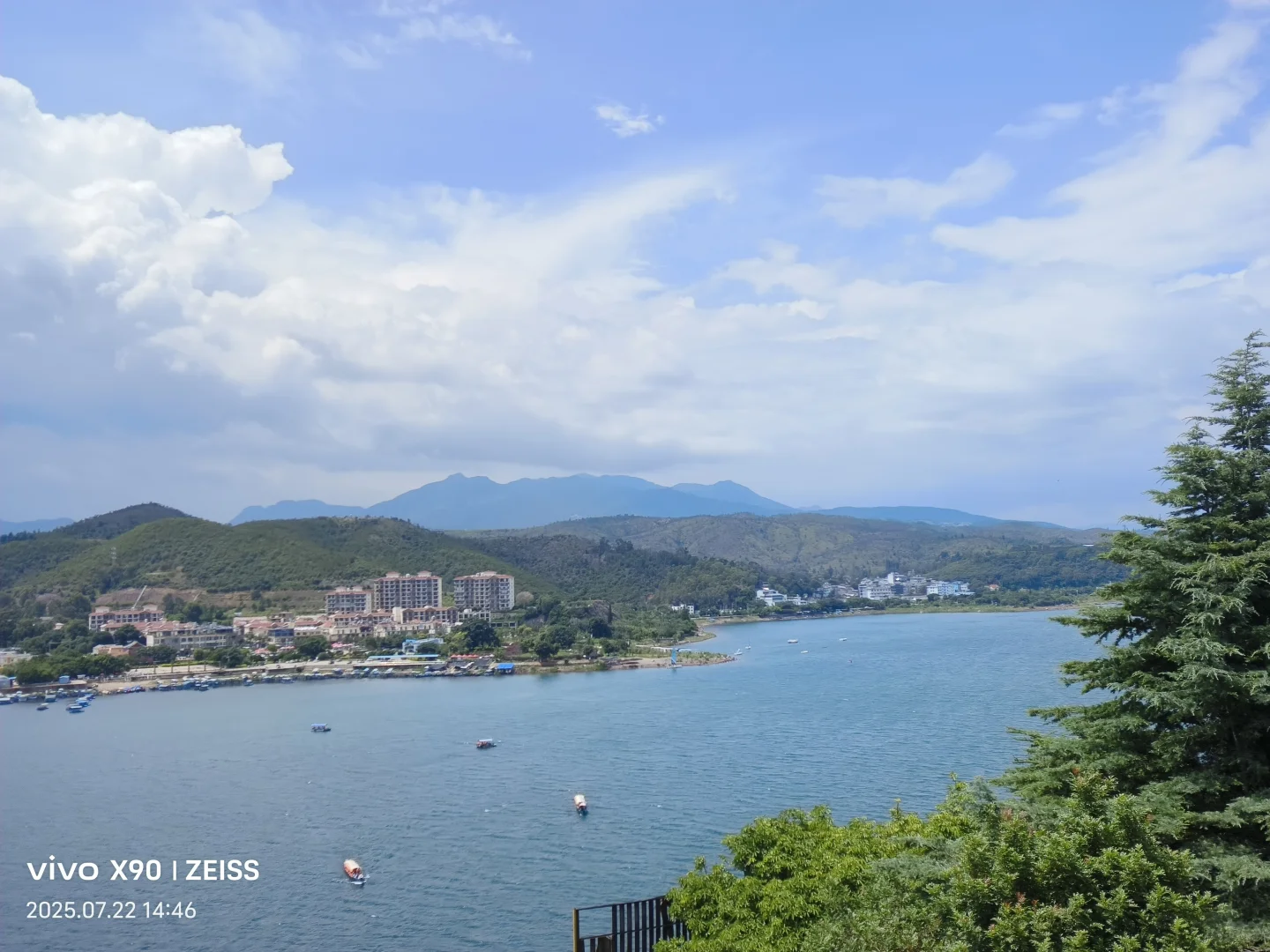 云南蓝莓的“凡尔赛”生长环境?