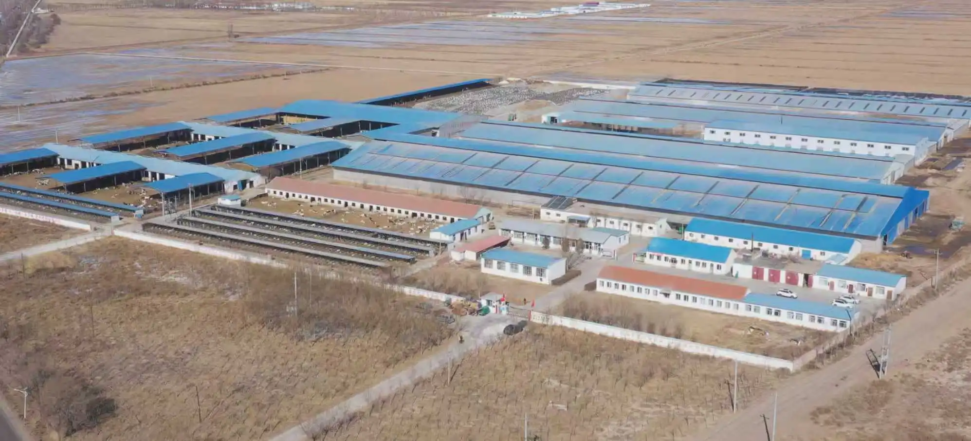 呼市招聘汽修工