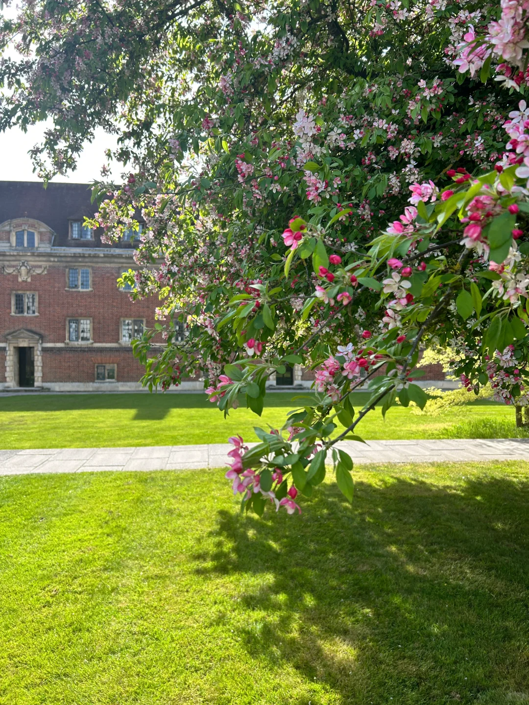 为了坐遍图书馆的每个角落,我考上剑桥大学