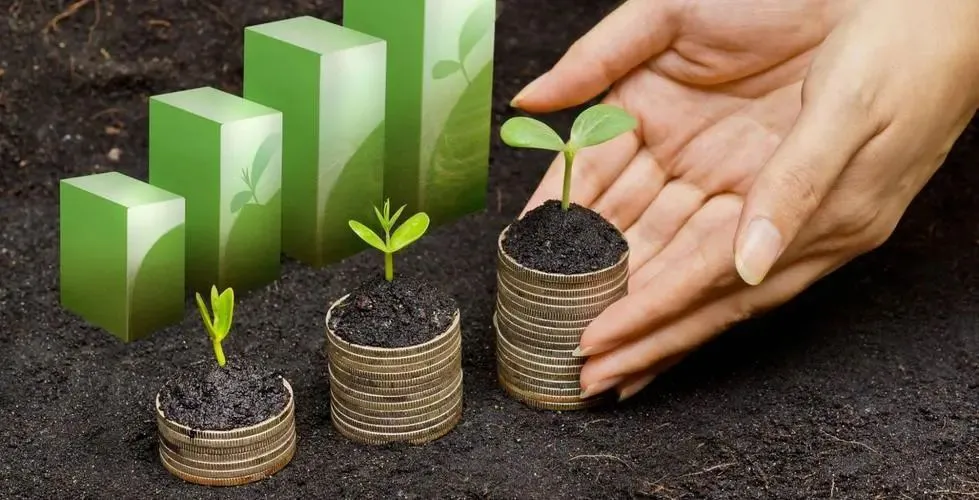 探索可再生能源和环境保护的重要性