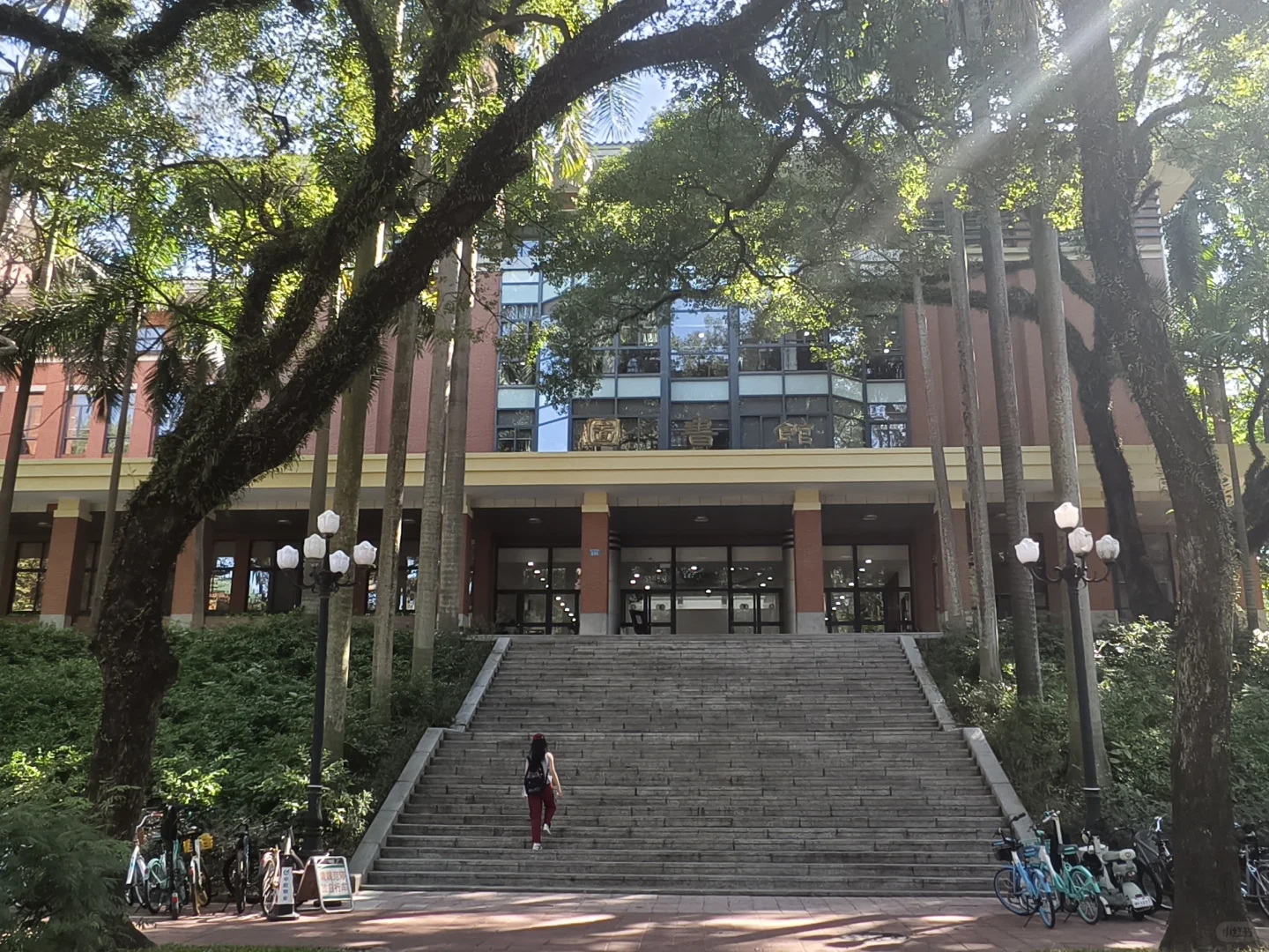 漫卷·象牙塔：中山大学 | 图书馆