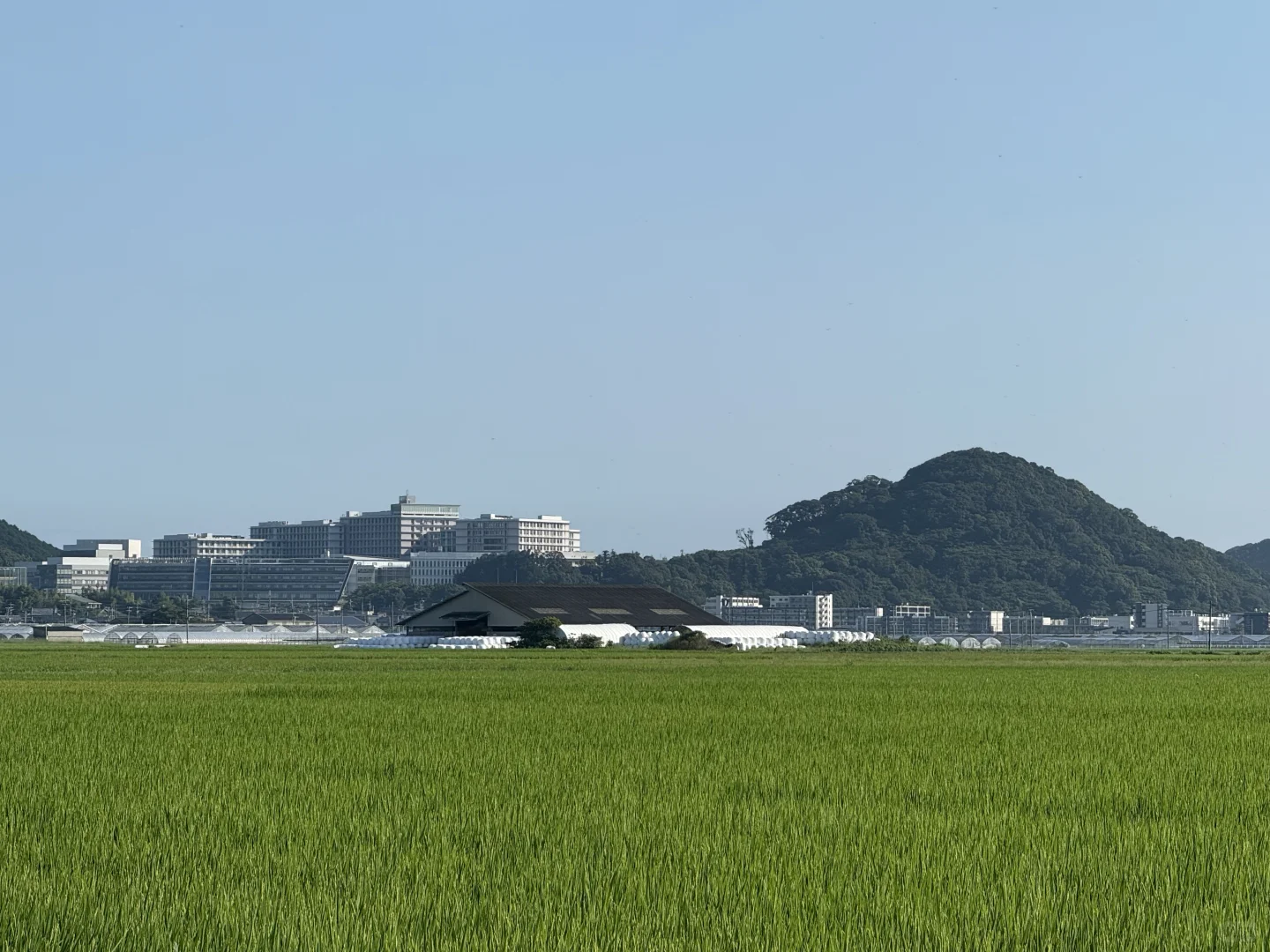 如何在日本做农业，你想问的我有系统方案