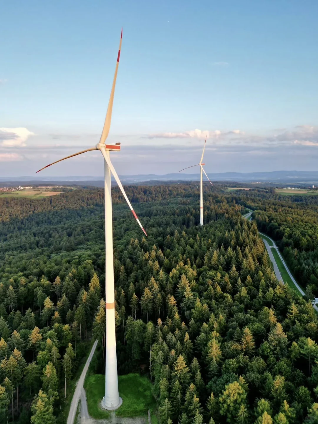 ☀️国际清洁能源日｜ZOO的100个自然日?