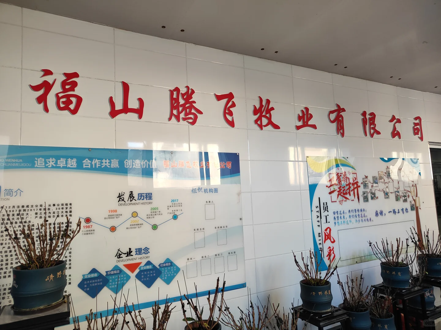 随行活动参观哈尔滨福山腾飞牧业工厂