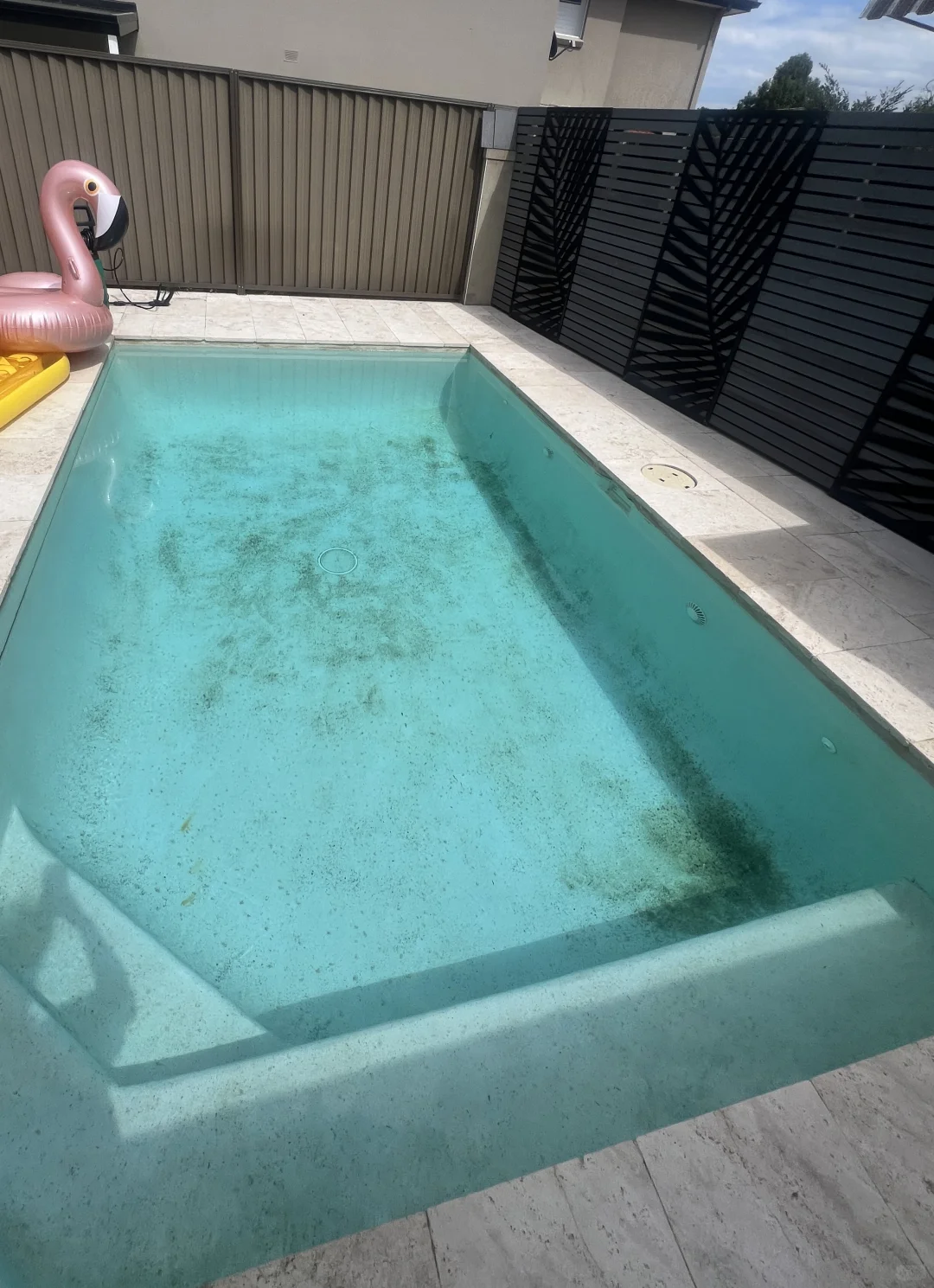 澳洲后院泳池自救计划(一)