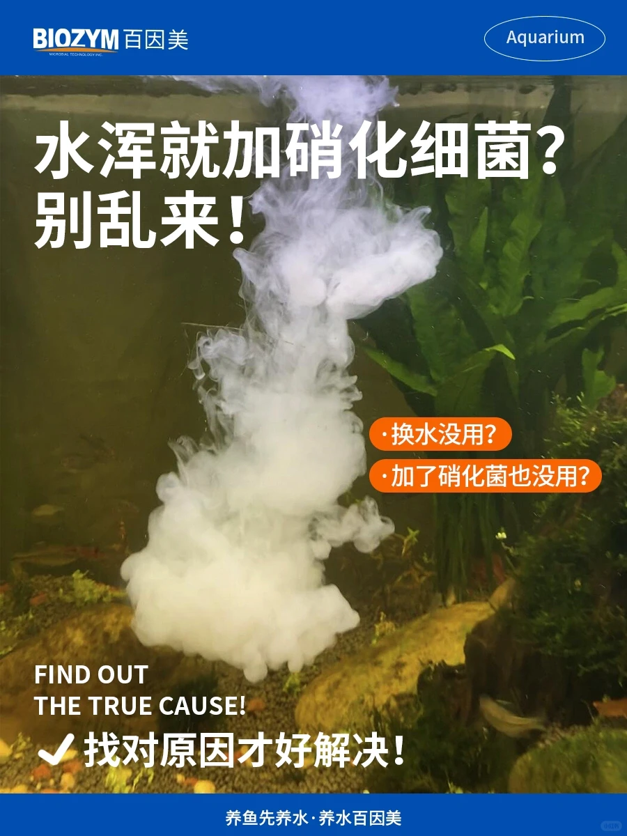 心急也别乱下定论‼️