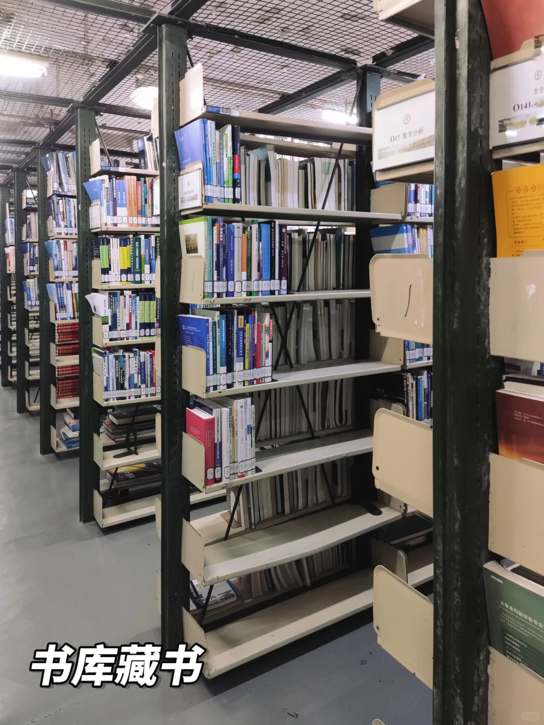 同济er的图书馆日常！带你走进四平图书馆