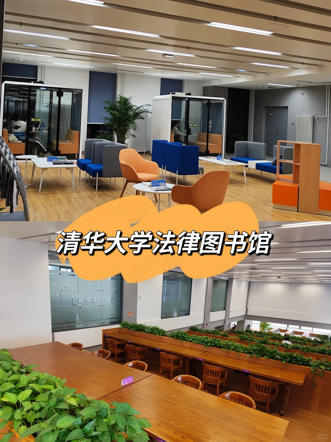 清华大学里最舒服的图书馆！