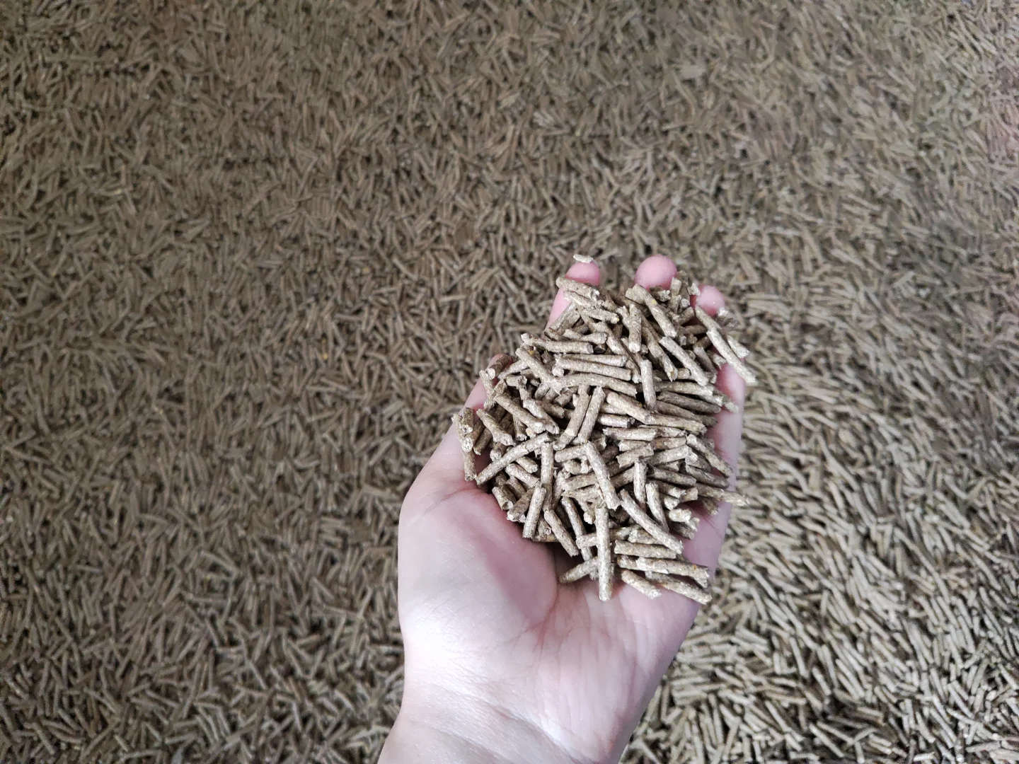 大学生帮卖家里自己加工兔饲料