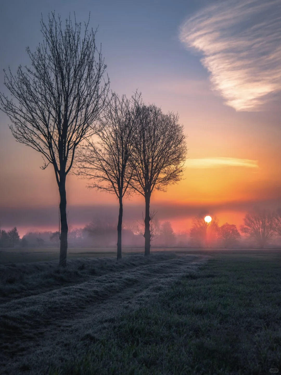 ☀️国际清洁能源日｜ZOO的100个自然日?