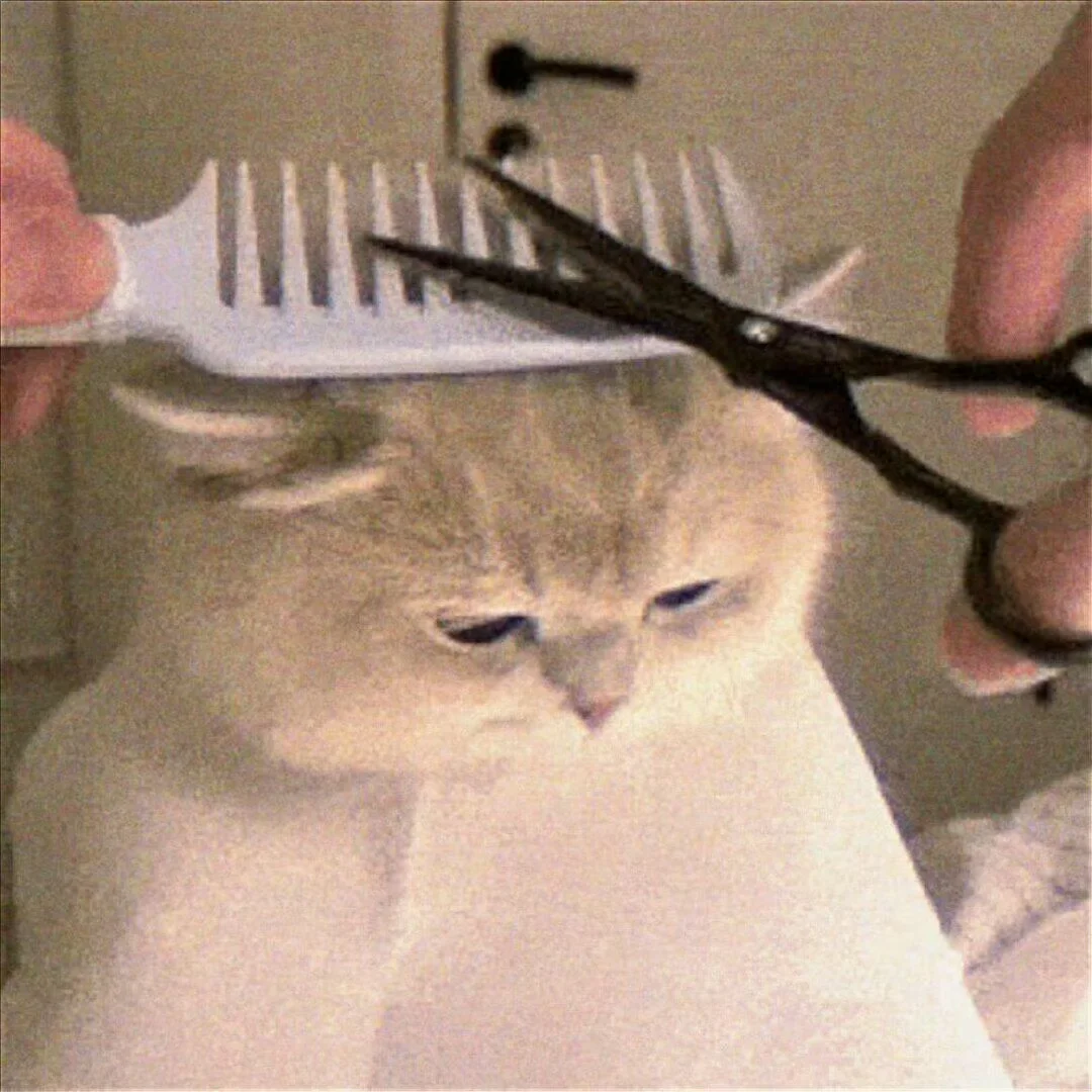 广西大学图书馆7楼每天都有人抽烟!?↔️