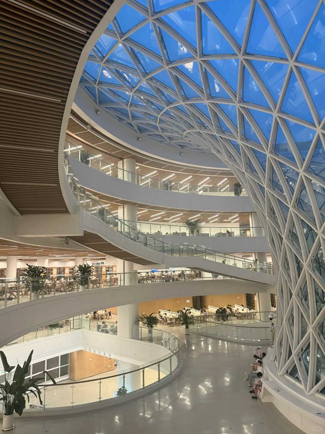 欢迎学弟学妹加入大美SYU！