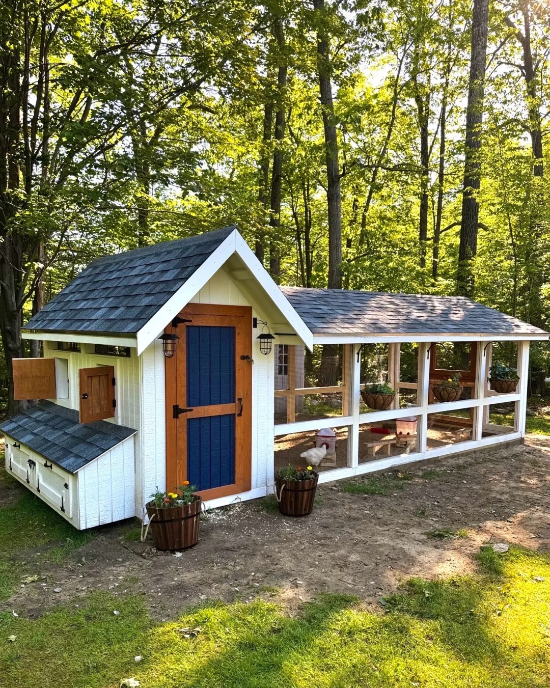 养鸡人必看！鸡舍设计分享