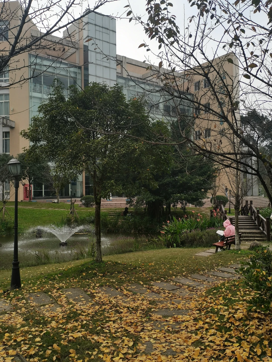 大学生图书馆自习