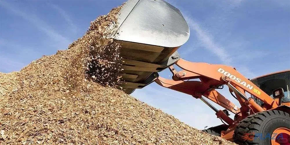 绿色能源的力量：理解可再生能源