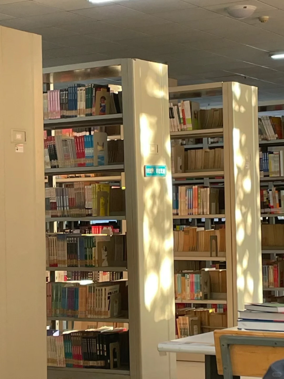 阳光下的图书馆