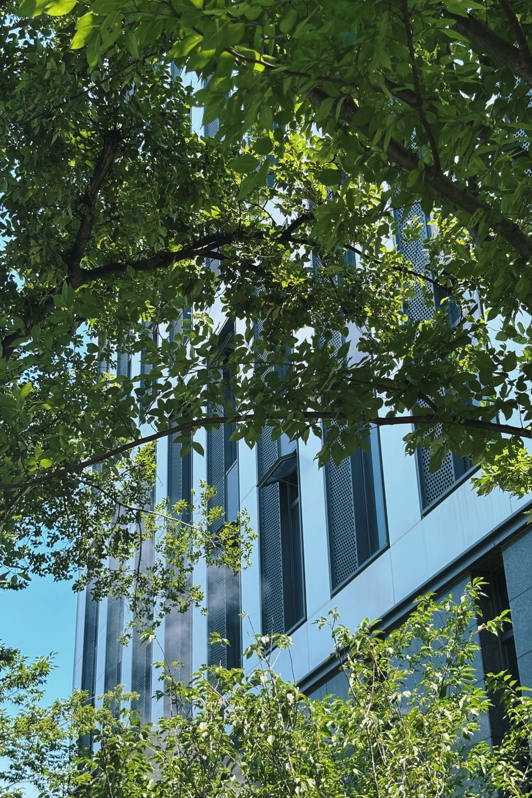 做服装10年，终于找到“招工不难”的秘诀…