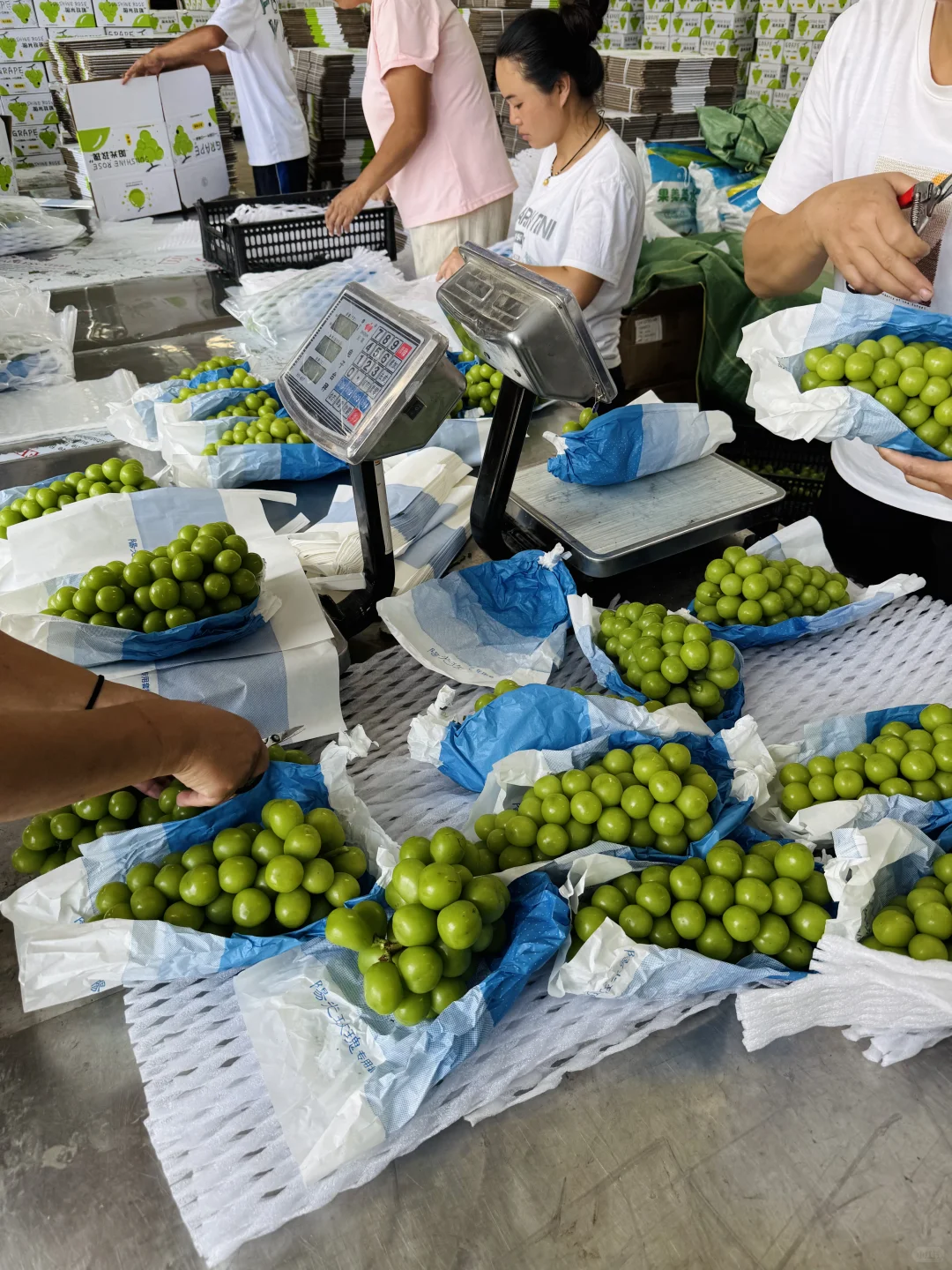 被嫌弃的水果终于要下架了！