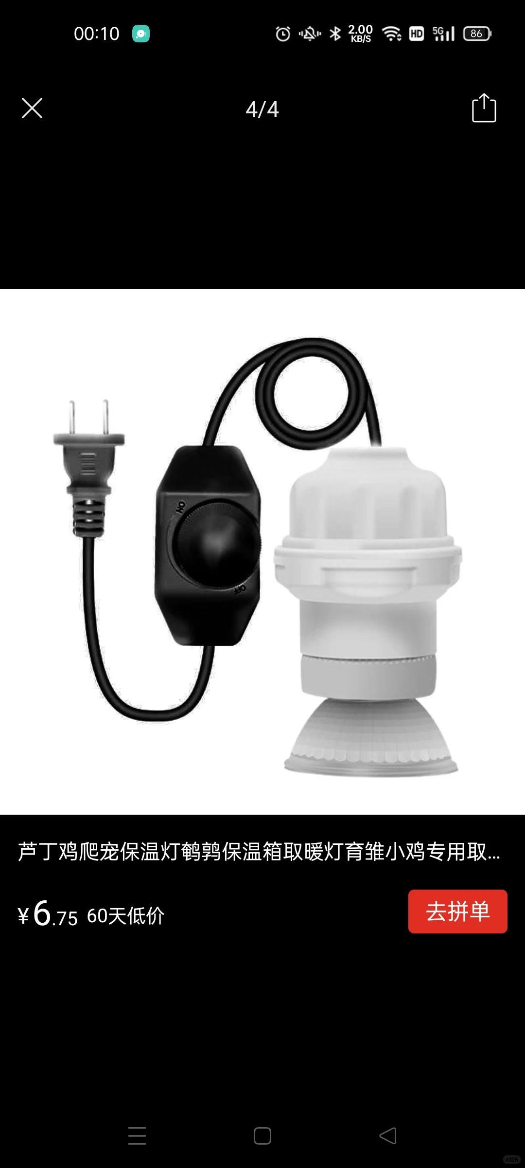 养小鸡新手攻略