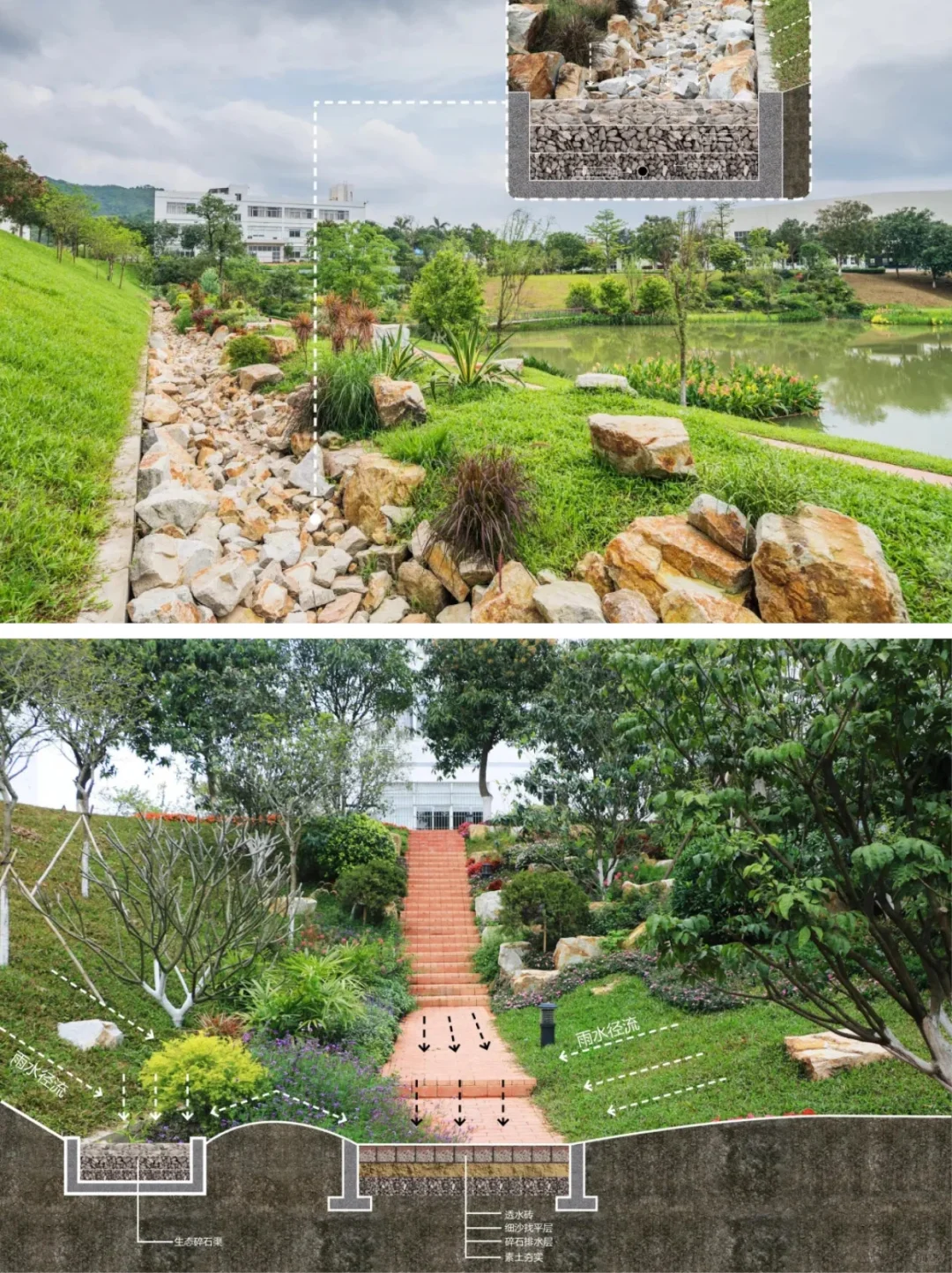 低本高效海绵方案：广东清远飞来峡海绵公园