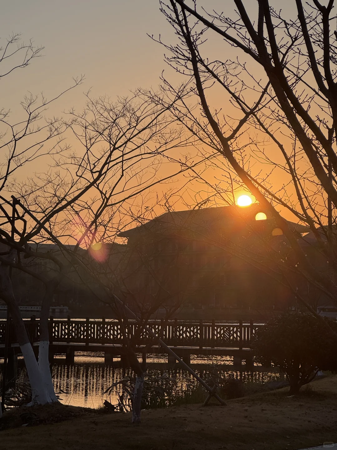 期末周每天都哄自己来图书馆