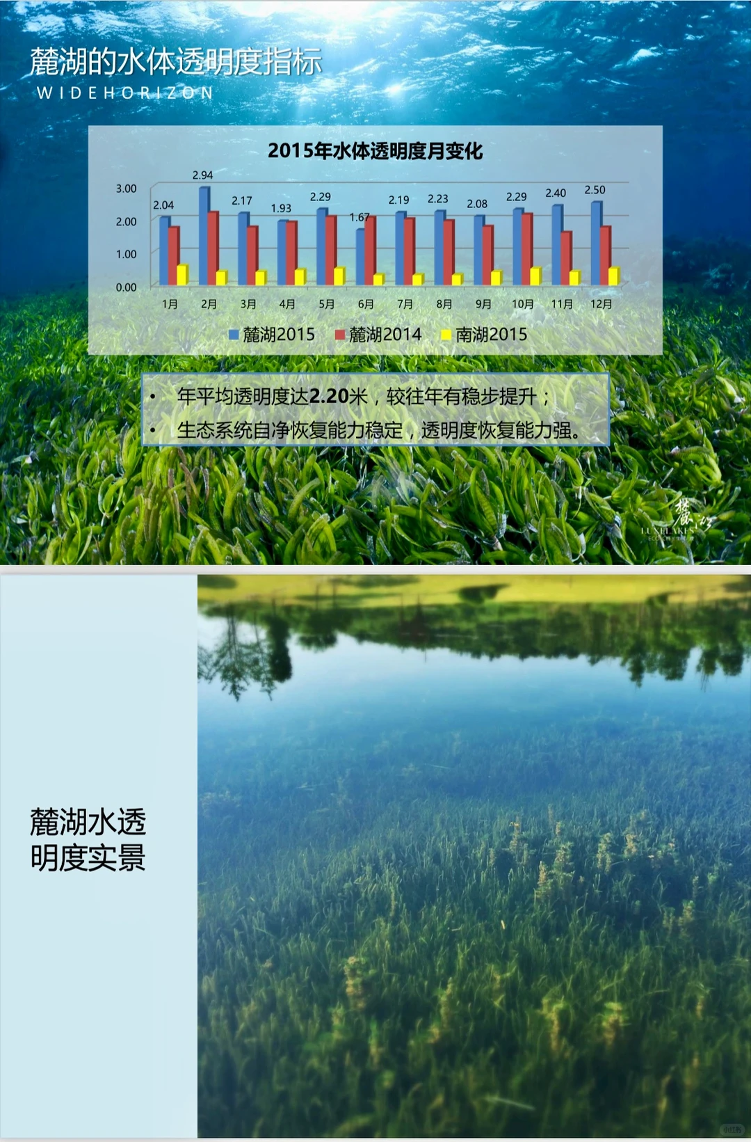 探秘麓湖｜麓湖的水以后会一直清澈吗