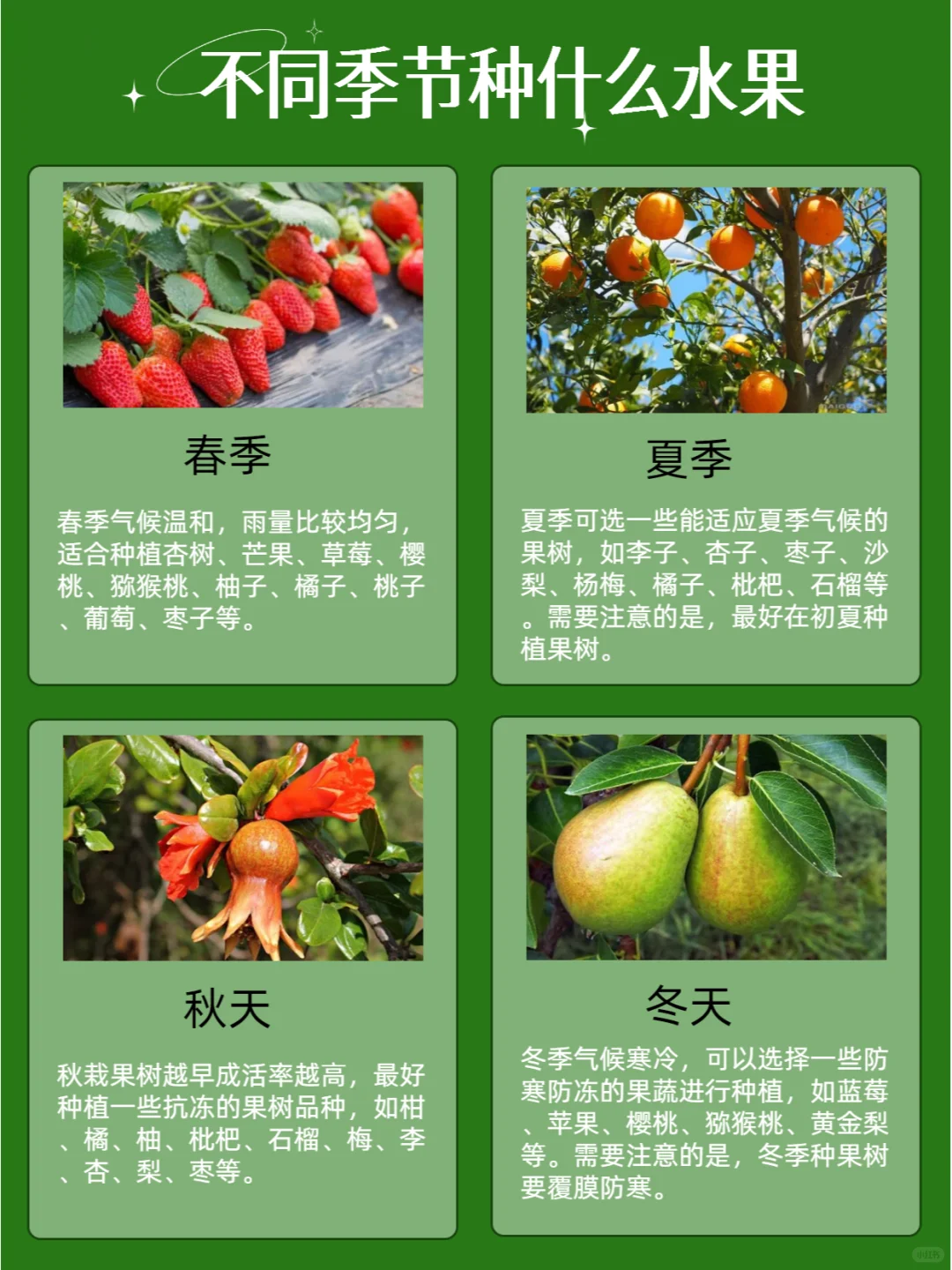 不同季节种什么水果