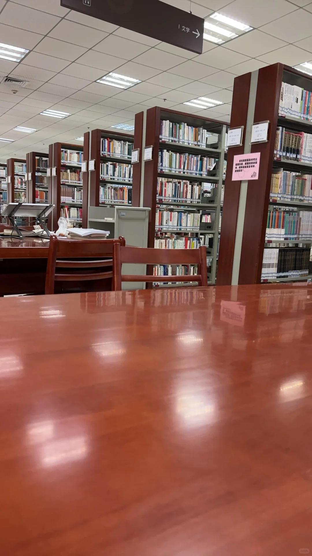 在图书馆呆着好爽