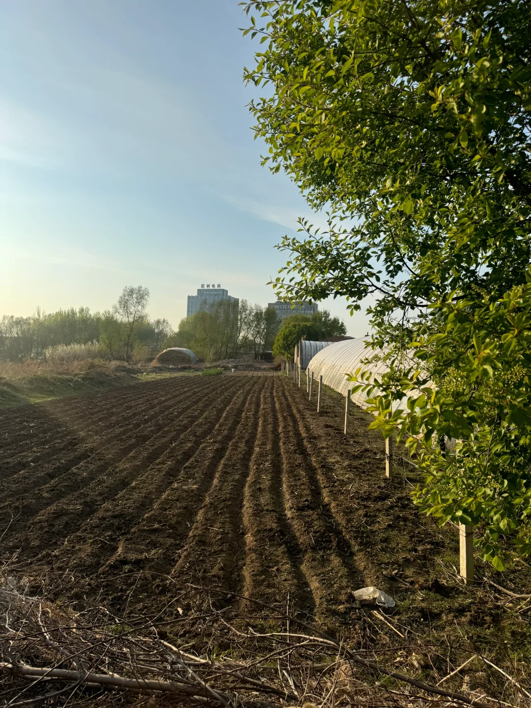 南方人见到了真正的黑土地