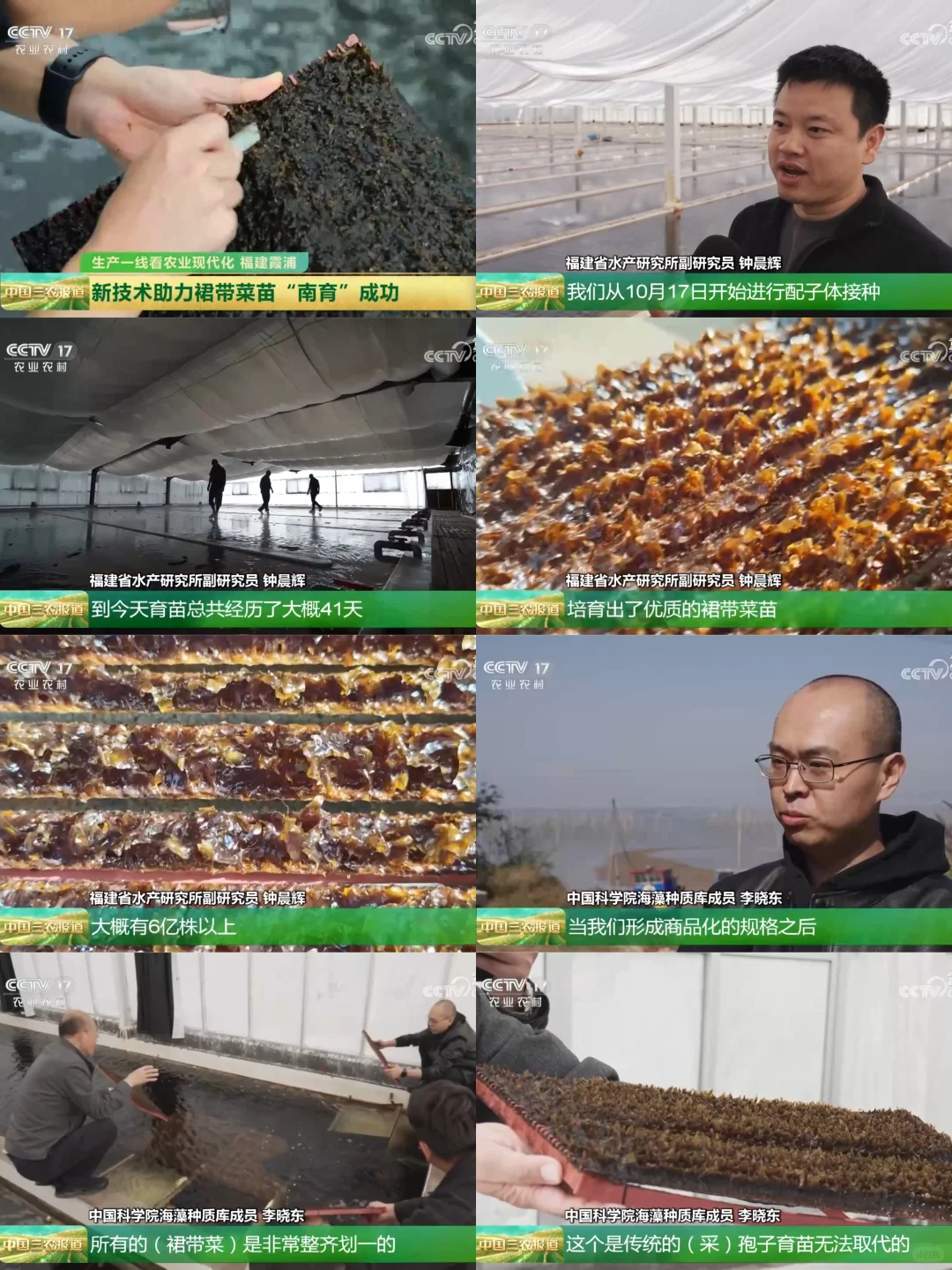 2025年11月28日农业新闻摘录。