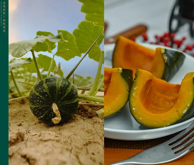 圣牧有机：如何打造独特的优势和壁垒