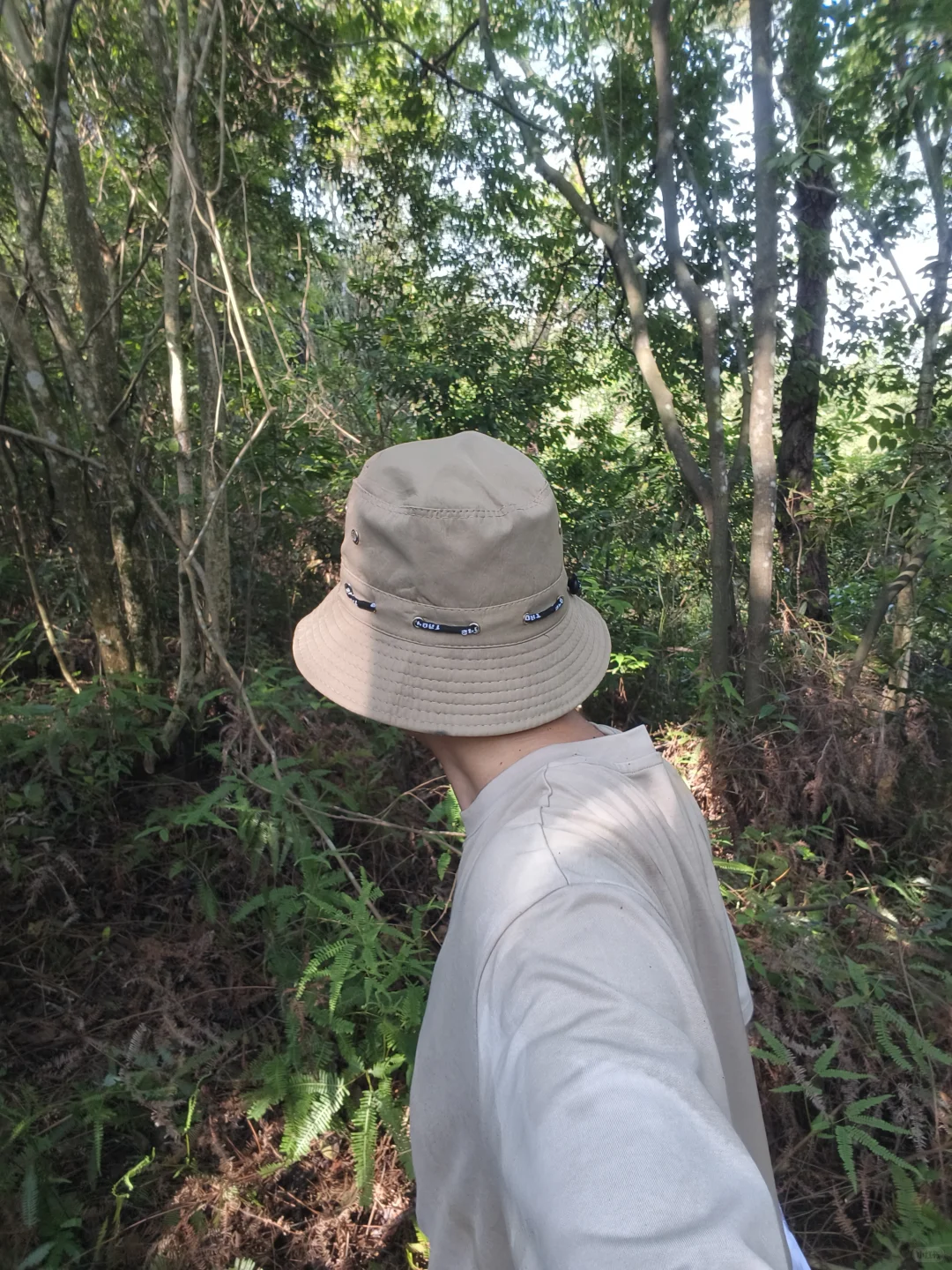 肇庆 丨世界巡护员日 林业技术员的日常