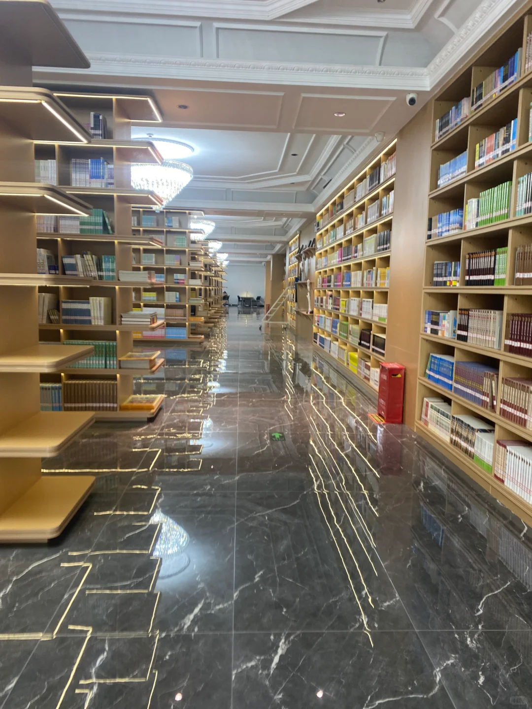 学校的图书馆真的好好看????