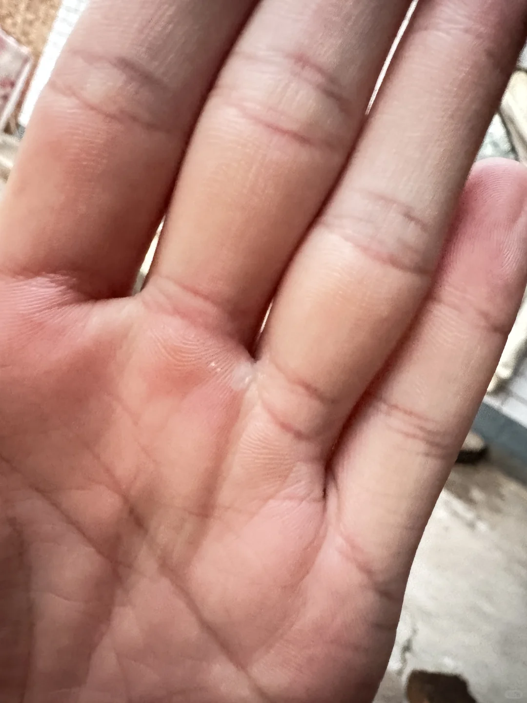 农村秋天的落叶真美呀?