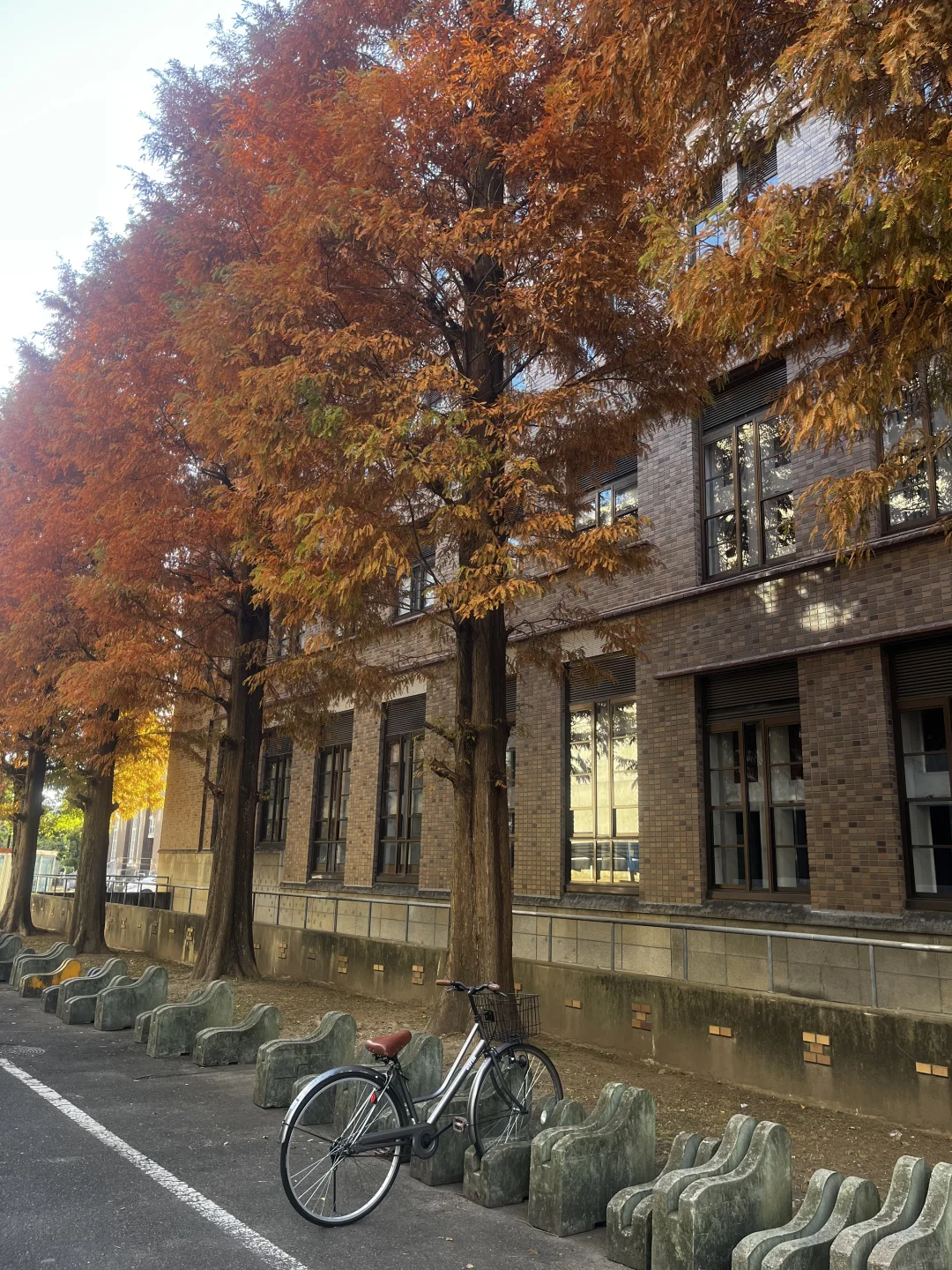 京都大学