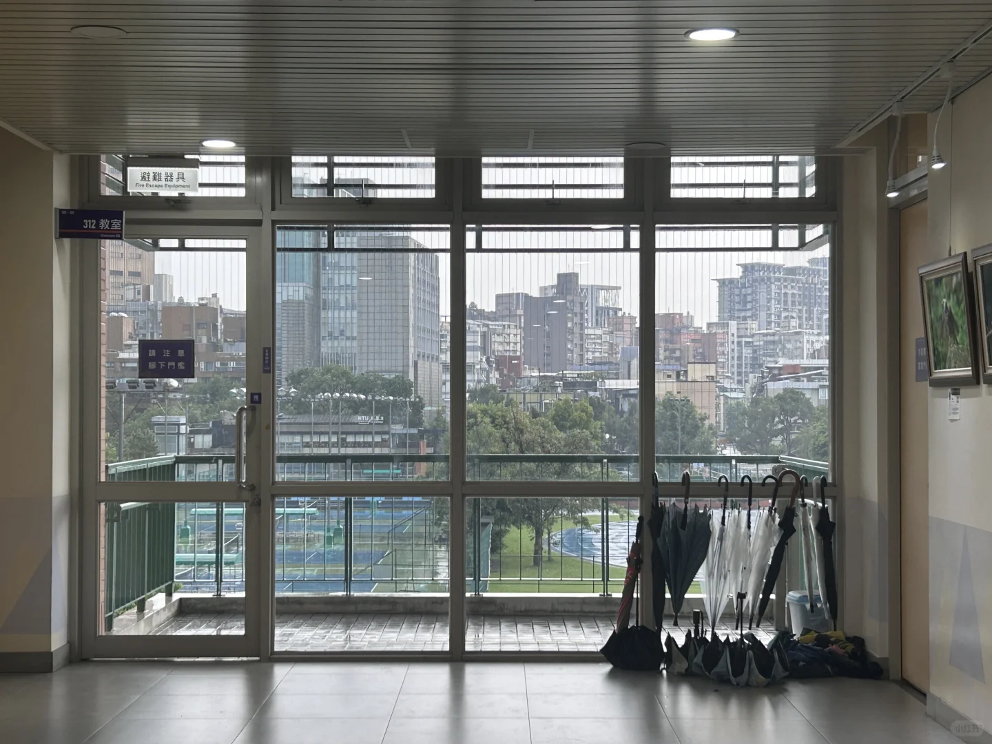 台湾交换|台大图书馆泡馆指南