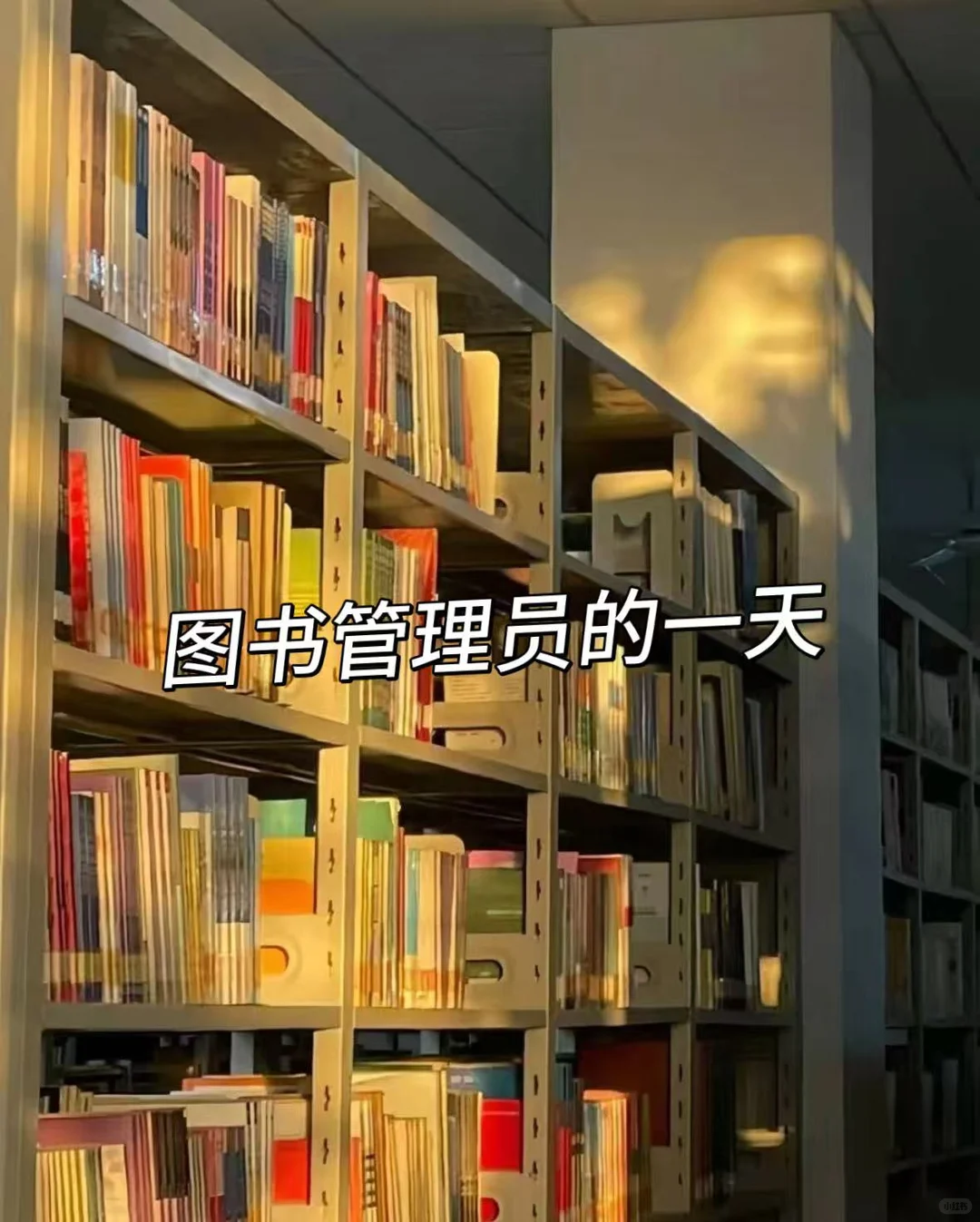 6k就6k吧 至少图书管理员安稳~