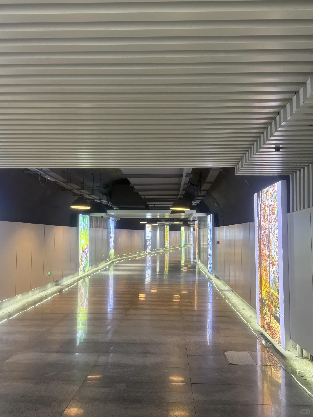 欢迎学弟学妹加入大美SYU！