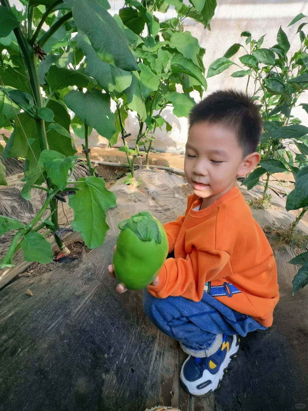 沈阳冬日遛娃天花板！承包一整天的田园快乐！