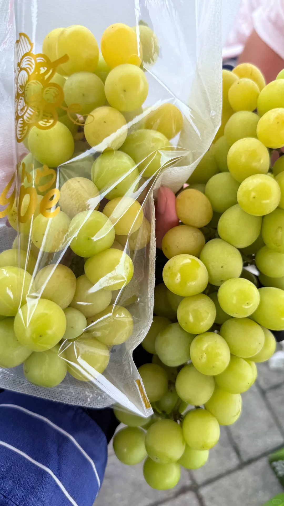 自然长熟的阳光?你吃过吗？