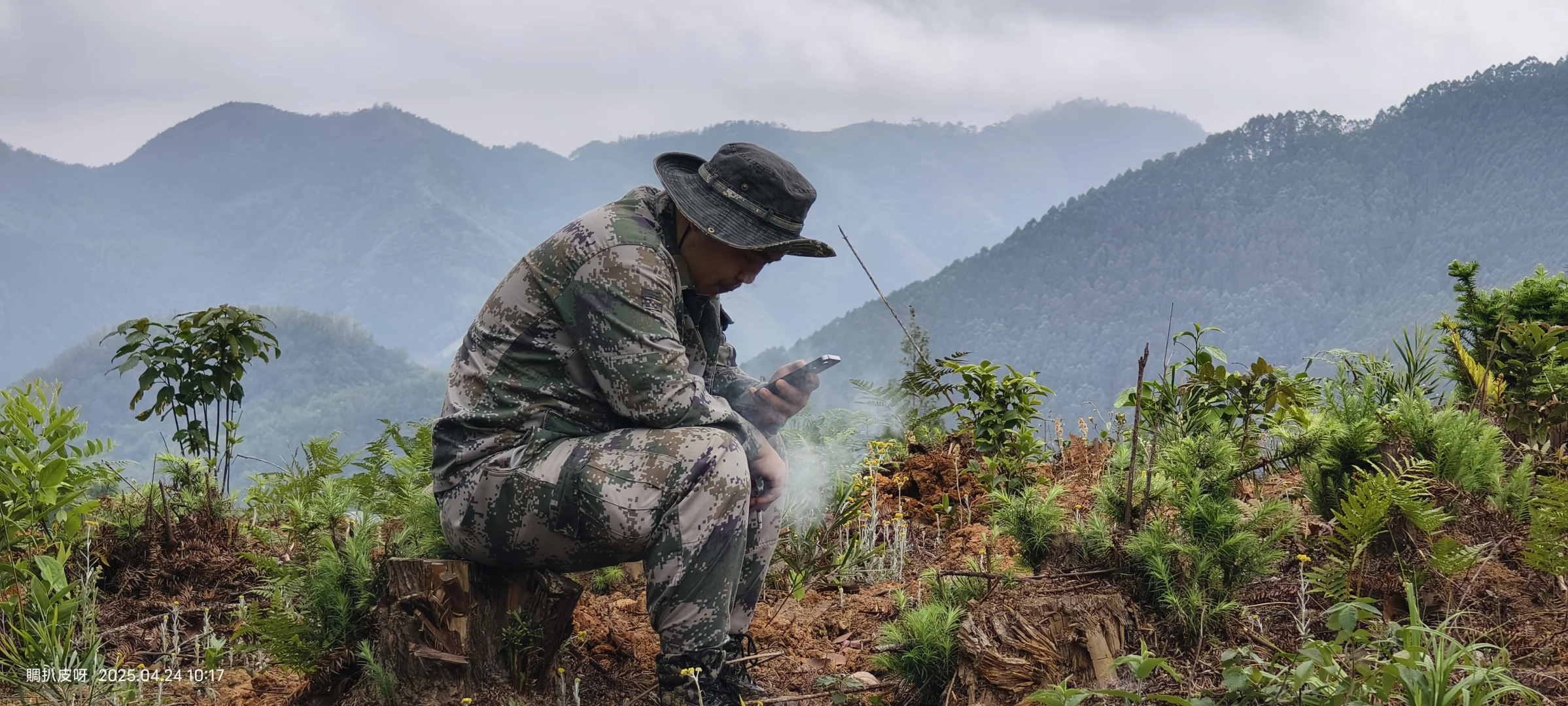 林业基层日常工作记录11