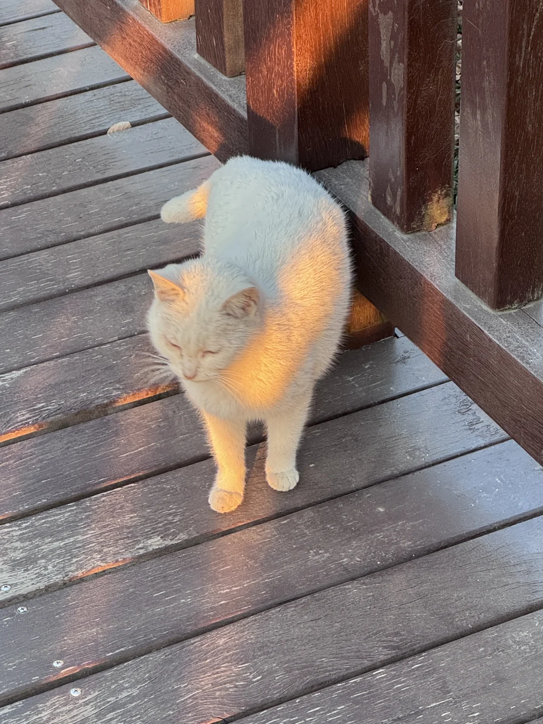 期末周每天都哄自己来图书馆