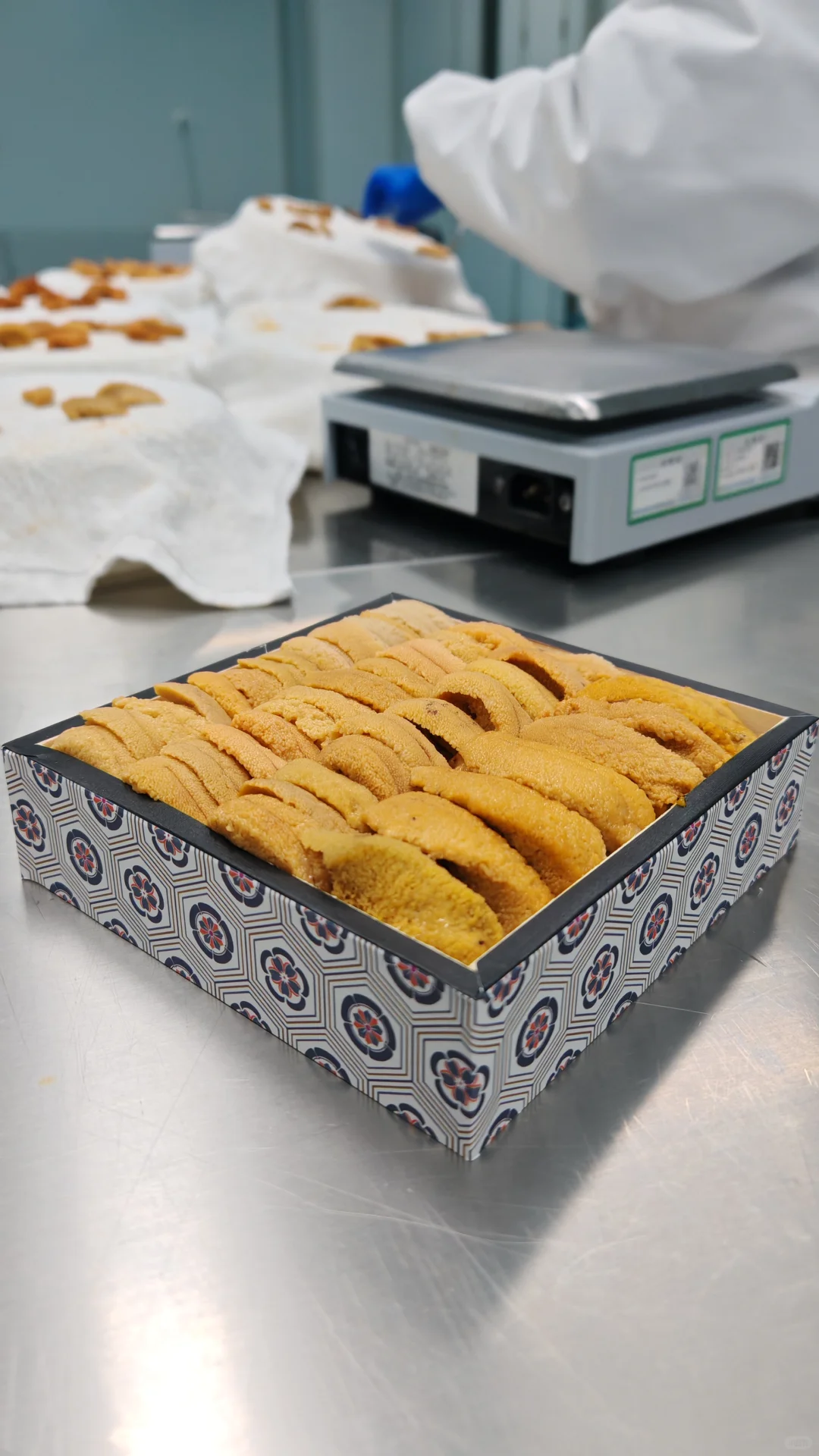 深圳）加拿大胆，唯一海胆厂，十万无尘车间