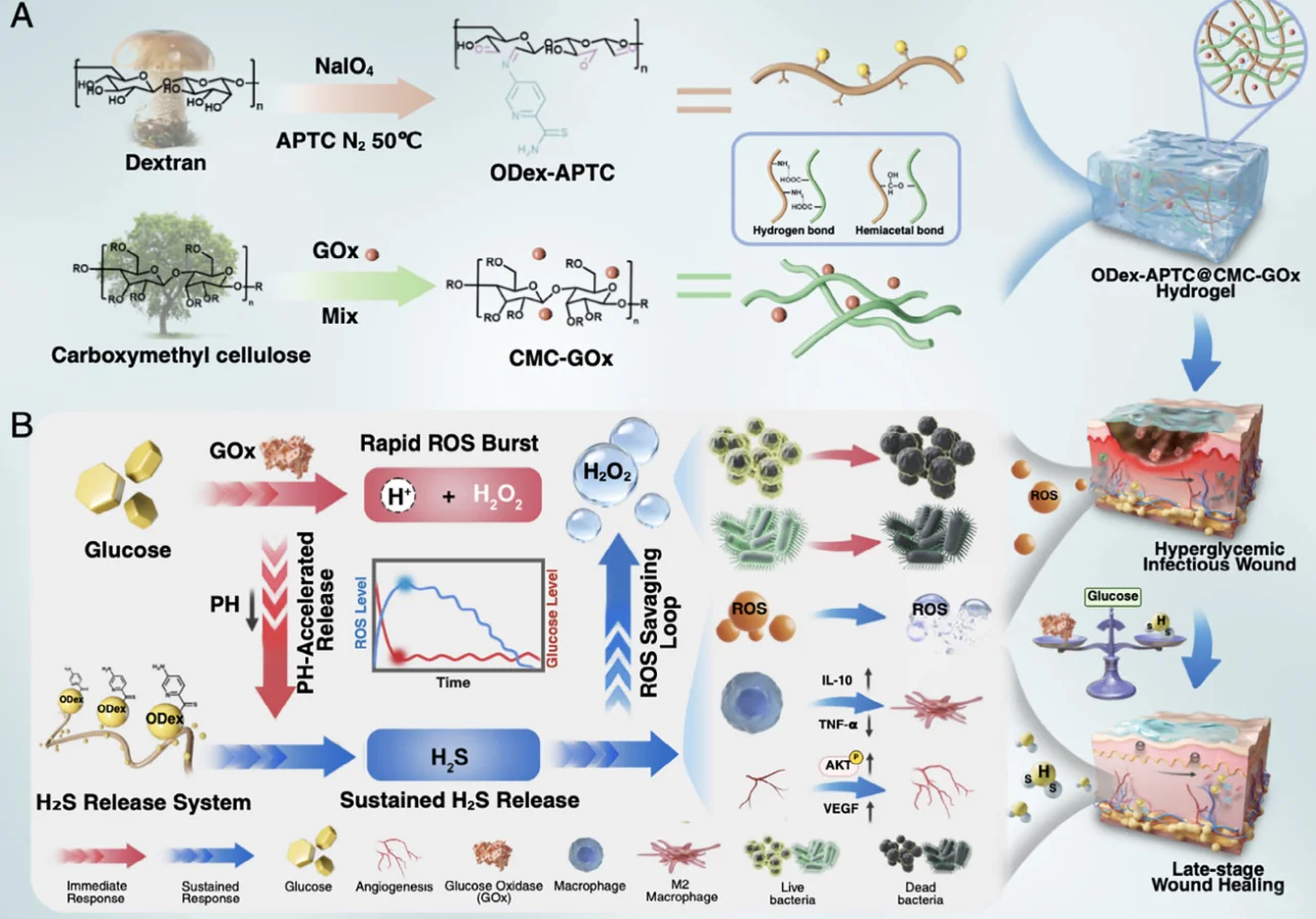 IF19! 智能水凝胶 创面