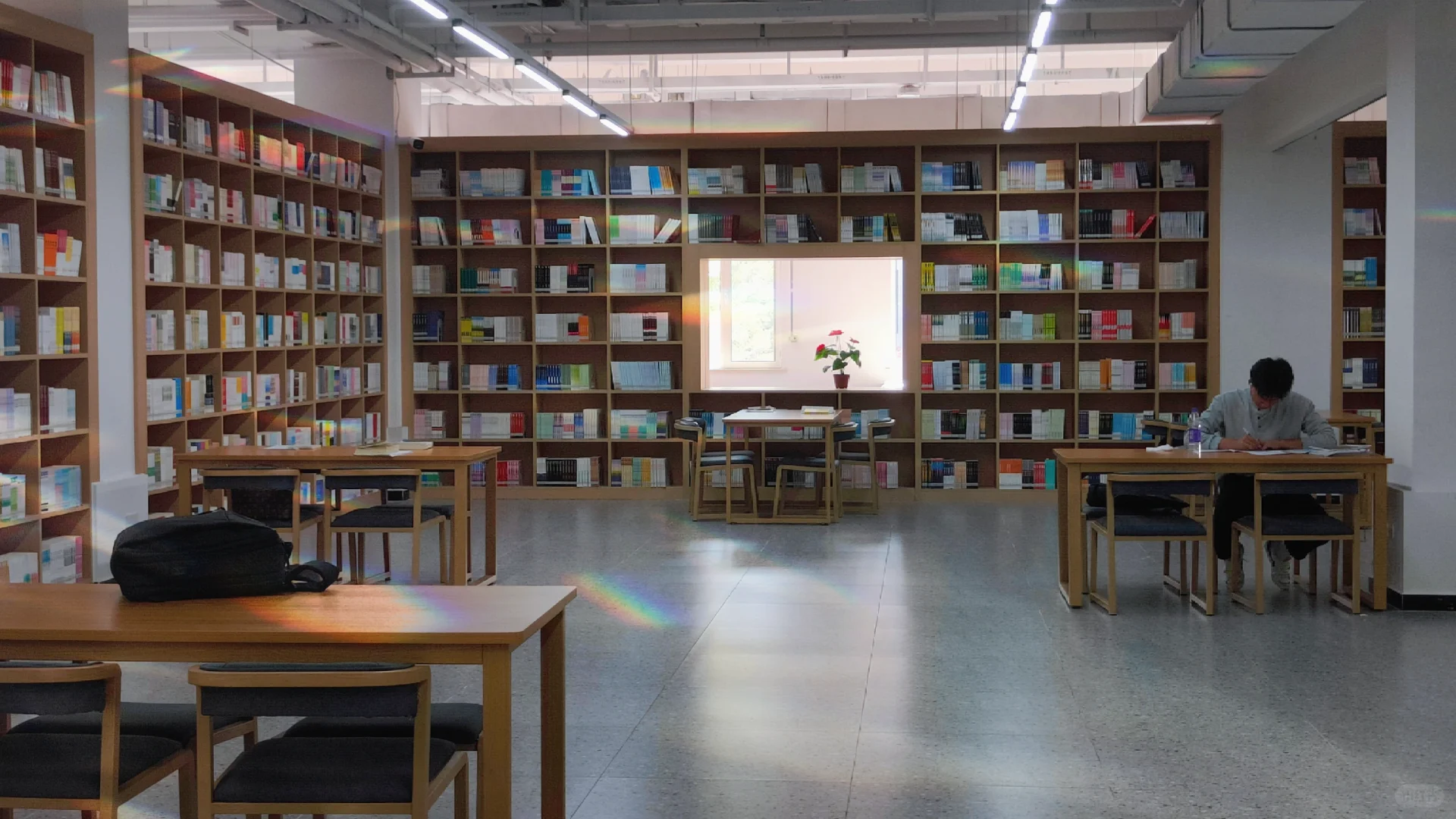 打卡河北东方学院图书馆