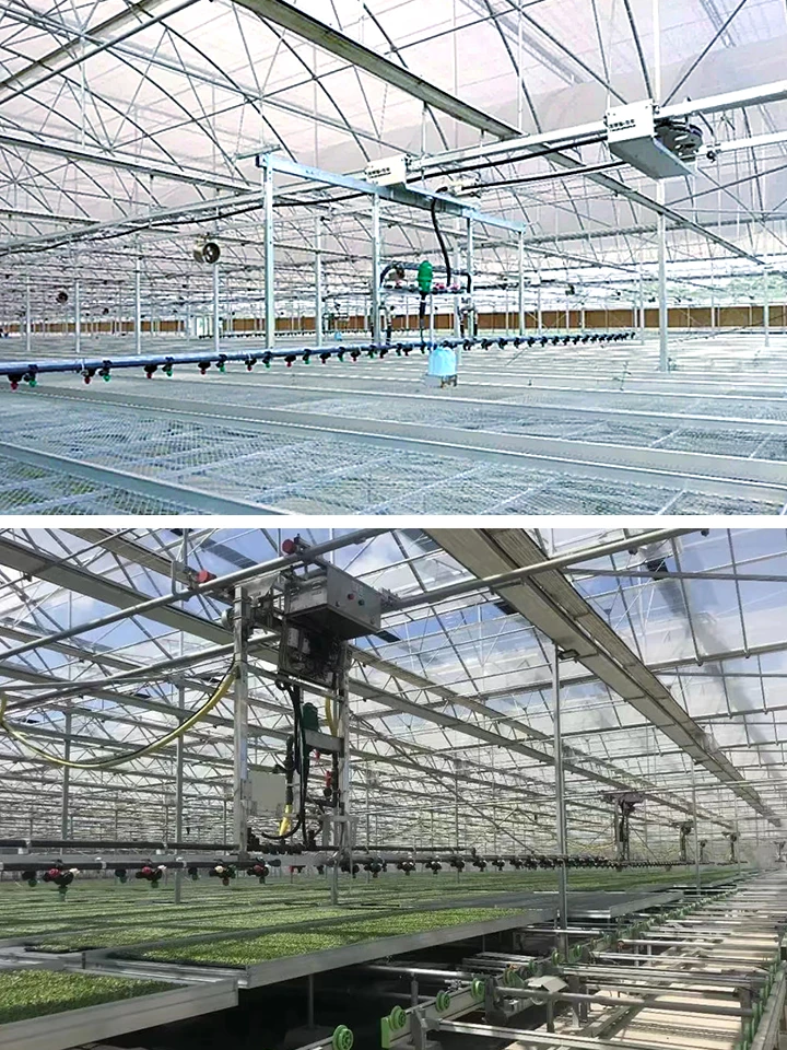 育苗温室喷灌机的选择与智能化优势