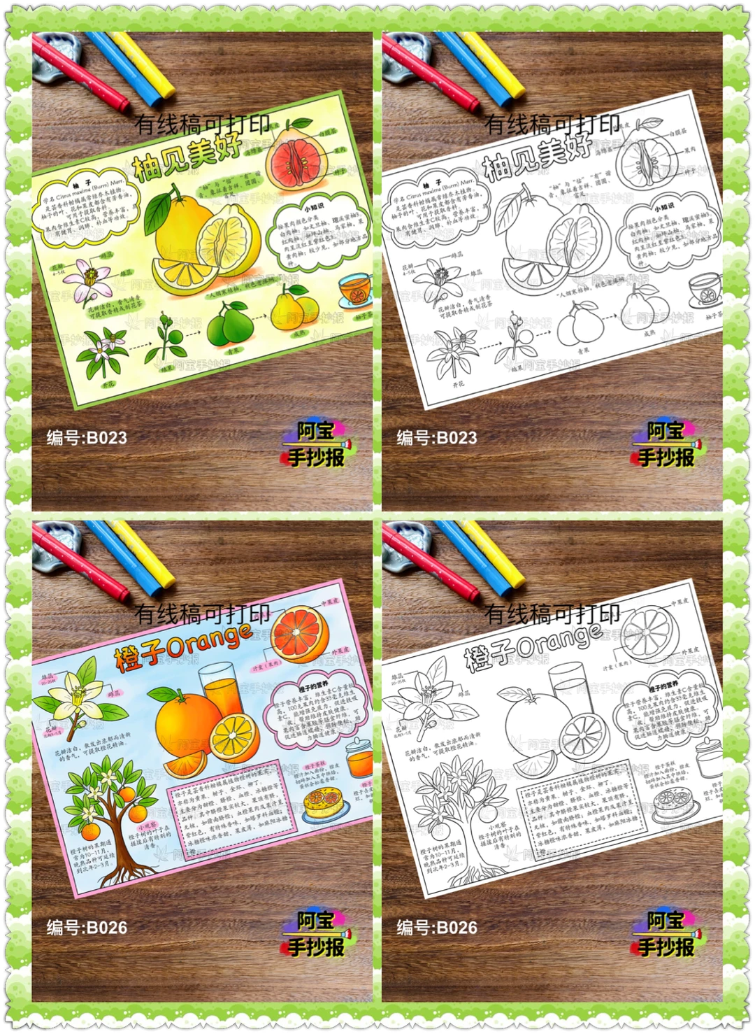 蔬菜水果类的自然笔记手抄报合集