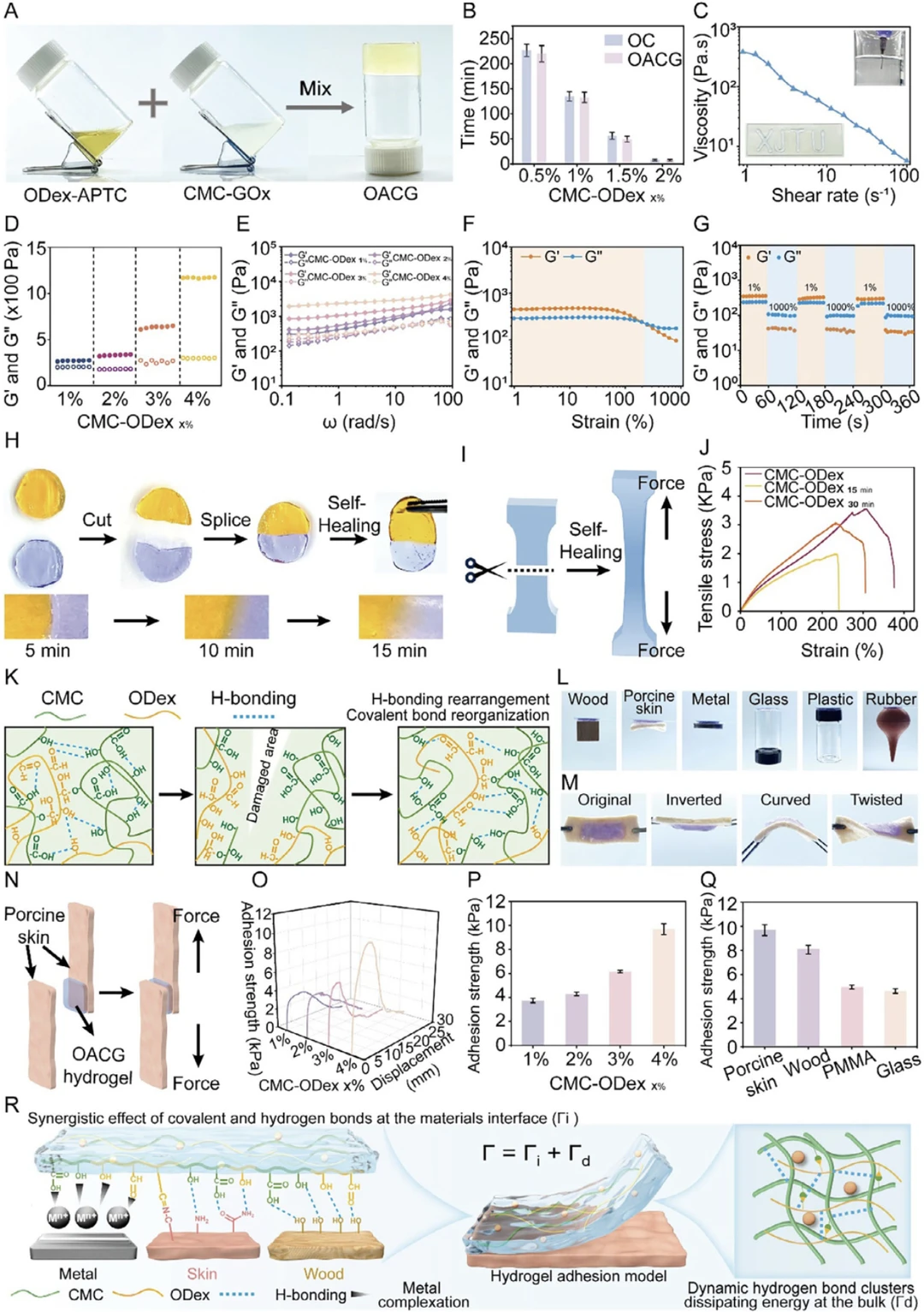 IF19! 智能水凝胶 创面